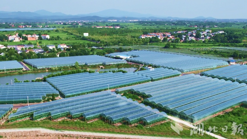 万利游戏注册送38元